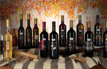 Cantina Gostolai: identità, cultura e tradizione dei vini di Oliena