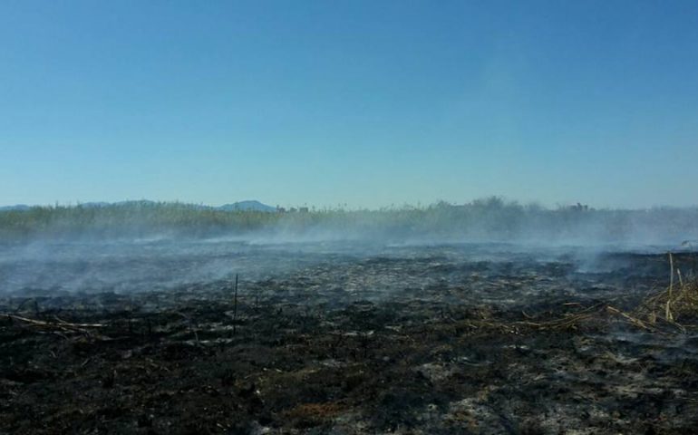 Incendio a Molentargius. Il resoconto dettagliato dell’inferno vissuto dai volontari del Nos di Quartu Sant’Elena (VIDEO e FOTO)