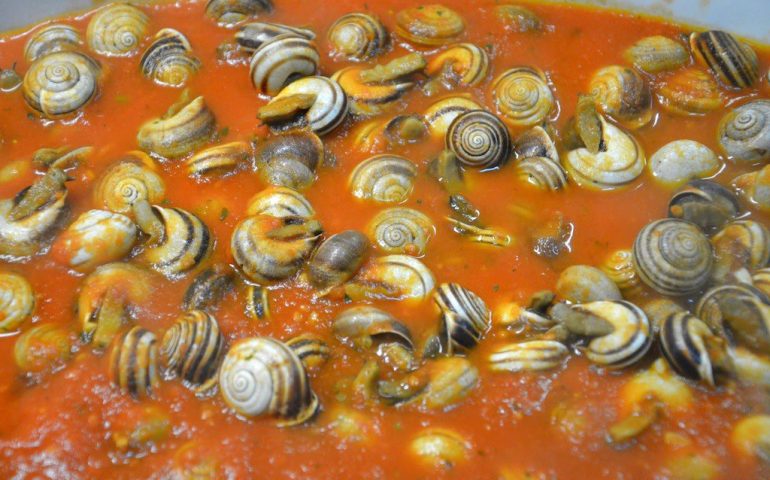 La ricetta Vistanet di oggi: lumache a sa casteddaia, piatto tipico molto amato in Sardegna