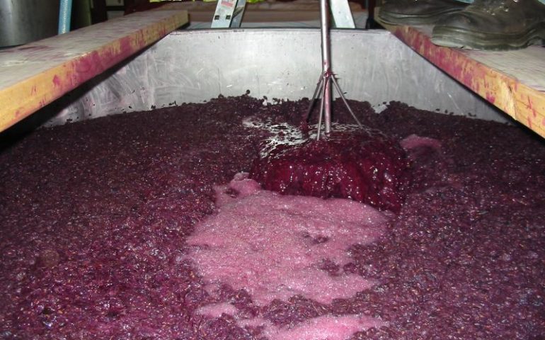 Tragedia ad Alghero, un operaio muore intossicato dalle esalazioni del mosto in fermentazione