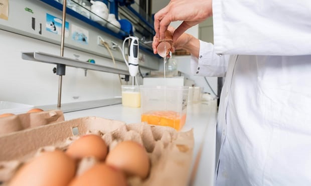 Allarme Fipronil, risultati delle analisi impietosi: le uova sono contaminate, resta il blocco