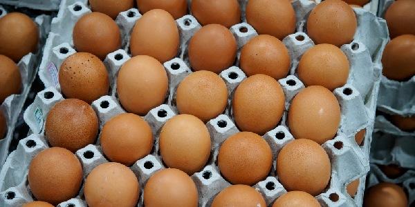 Allarme Fipronil nel Cagliaritano: ritirate migliaia di uova in un allevamento
