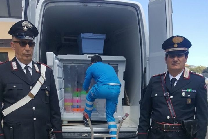 Clamorosa svolta nelle indagini sul caso Shardna: 17 avvisi di garanzia