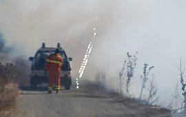 Incendio bau settimo cani