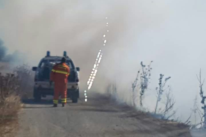 Incendio bau settimo cani