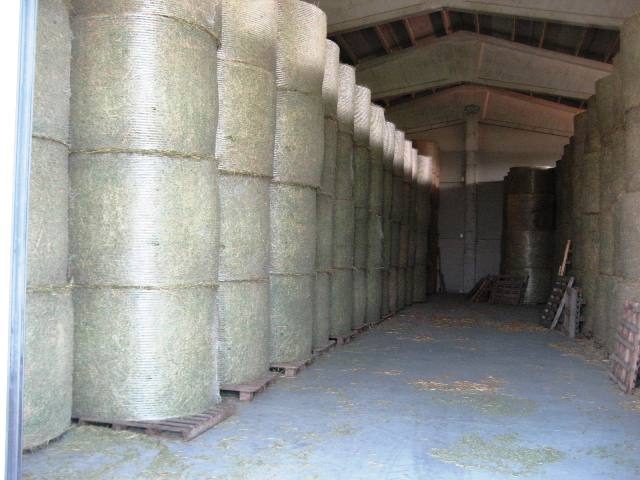 Sassari, agricoltore muore schiacciato da decine di balle di fieno in un capannone
