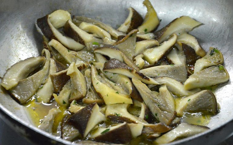 La ricetta Vistanet di oggi: cordolin’e pezza (funghi di carne) trifolati e saltati in verde in padella