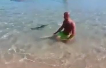 video pesce spada lido di orrì