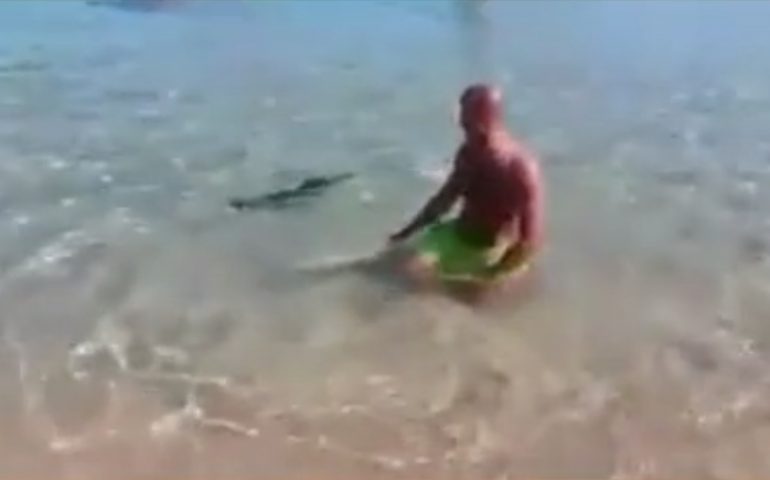 Rarissimo avvistamento di un pesce spada sulla spiaggia di Lido d’Orrì (VIDEO)