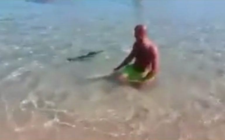 video pesce spada lido di orrì