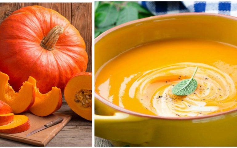 Ecco la zucca, ortaggio autunnale per eccellenza con strepitose proprietà nutritive e terapeutiche