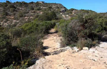 Cagliari, Sella del Diavolo, taglio della vegetazione per apertura percorsi ciclistici (2)