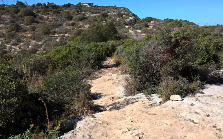 Cagliari, Sella del Diavolo, taglio della vegetazione per apertura percorsi ciclistici (2)