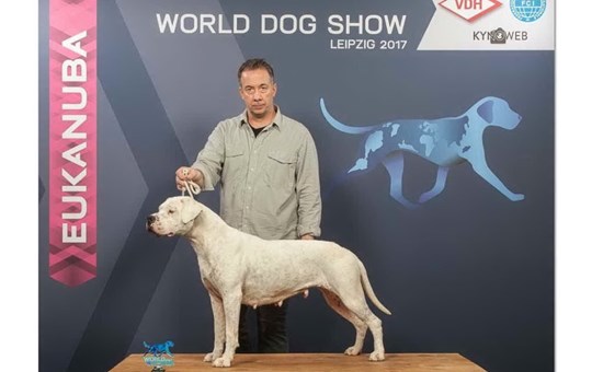 Un cane sardo ha vinto il primo premio al Campionato del Mondo disputato a Lipsia in Germania