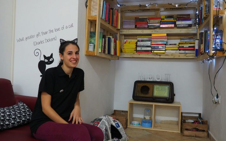 Cat Cafè di Chry: inaugurato stasera (e preso d’assalto) il primo locale a Cagliari dove ad accogliere i clienti sono i gatti (FOTO)