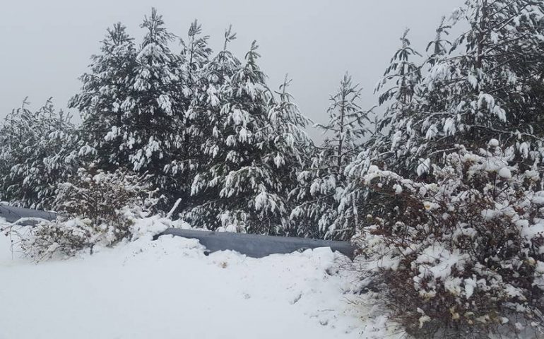 Pioggia, forte vento e neve a partire dai 1300 metri: sino a venerdì freddo sulla Sardegna