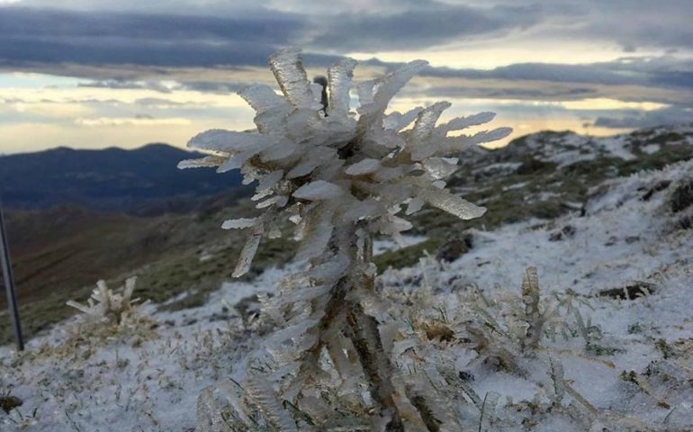 Neve sul Bruncuspina (foto di Gianni Cugusi).