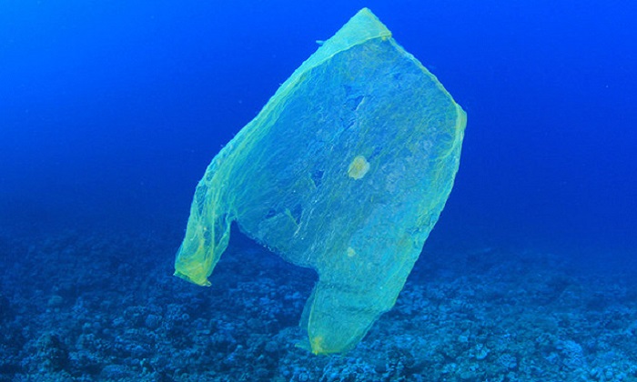 Troppa plastica in mare, uno studio della Capitaneria lancia l’allarme