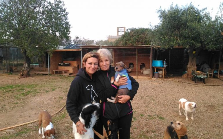 Cronache dai rifugi: a Gonnosfanadiga dalla “Signora” delle volontarie, Caterina Uccheddu (VIDEO)