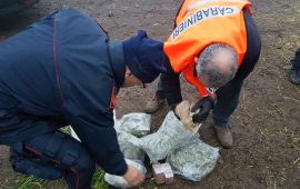 Maxi sequestro droga marijuana hashish armi carabinieri sinnai