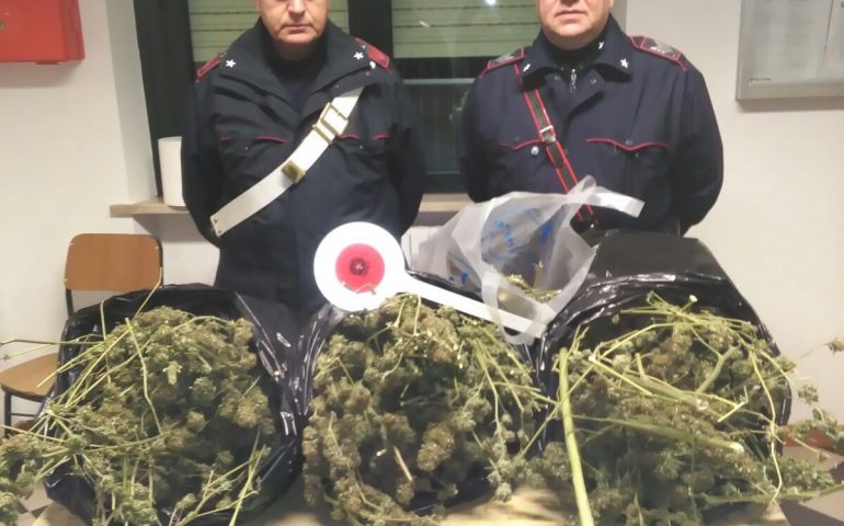 Fermato con qualche grammo di marijuana addosso. Ma a casa ne conservava quasi 4 chili