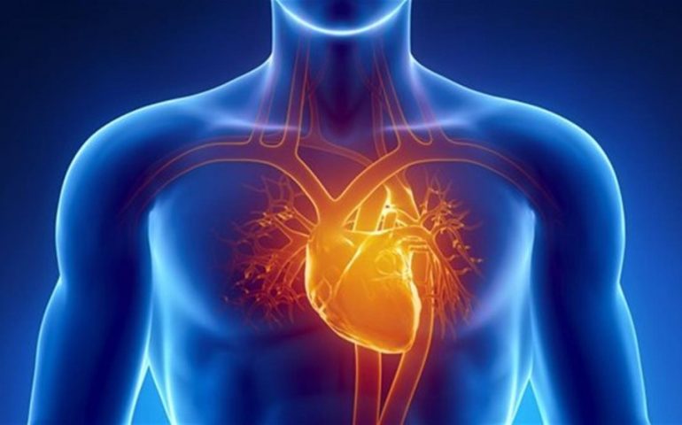 Arresto cardiaco: nuovi orizzonti alla ricerca grazie a una ricercatrice cagliaritana