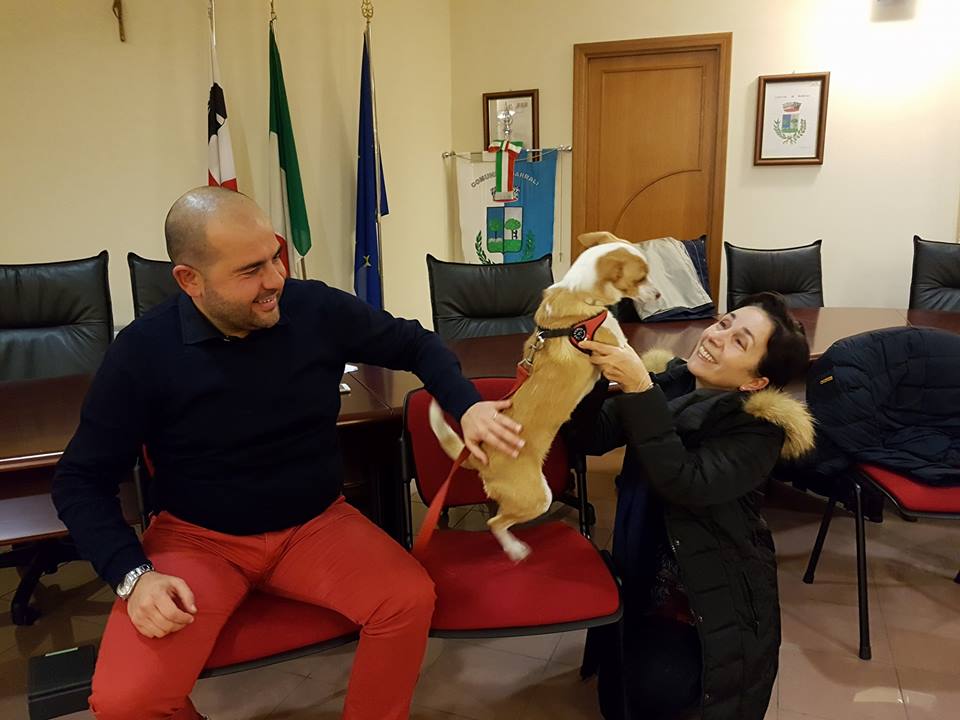 barrali sindaco fausto piga cane