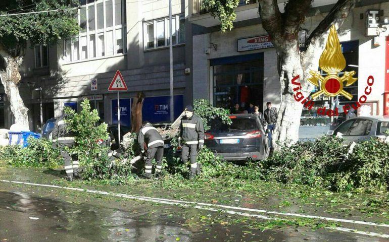 Alberi caduti a causa del forte maestrale e auto danneggiate: Vigili del Fuoco al lavoro a Cagliari