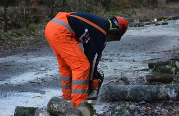 Lavoro lavoras operai lavoratori