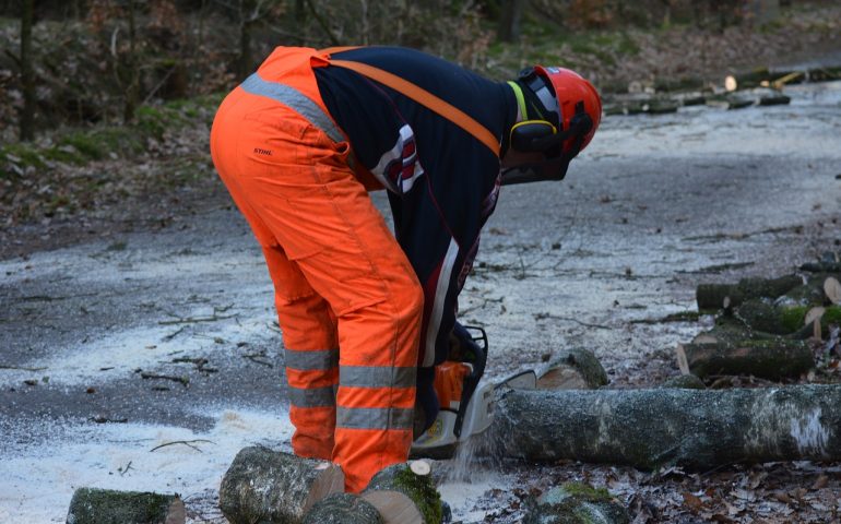 Lavoro lavoras operai lavoratori