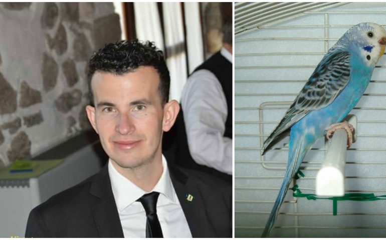Campionato Mondiale di ornitologia, secondo posto per il sindaco di Serri con la sua cocorita azzurra