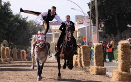 Sinnai, altre pariglie del carnevale - Fonte Comune di Sinnai