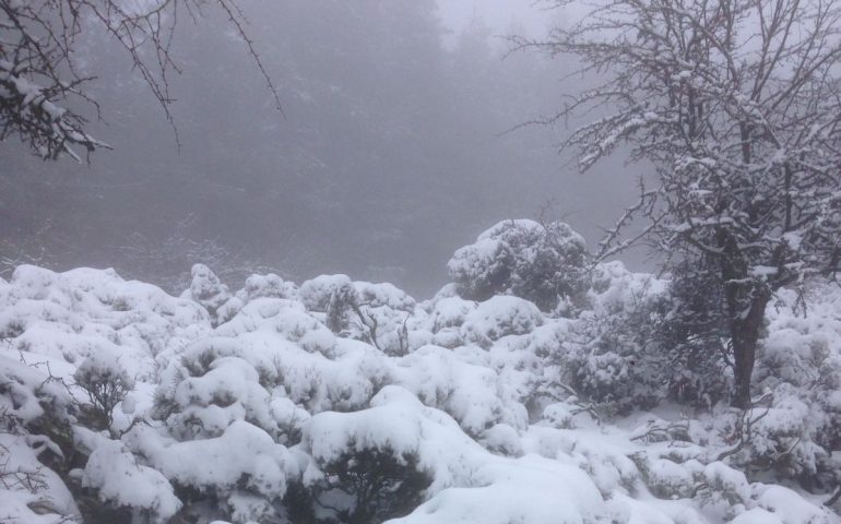 La foto del giorno. Neve in Sardegna. I monti di Desulo ricoperti da una coltre bianca