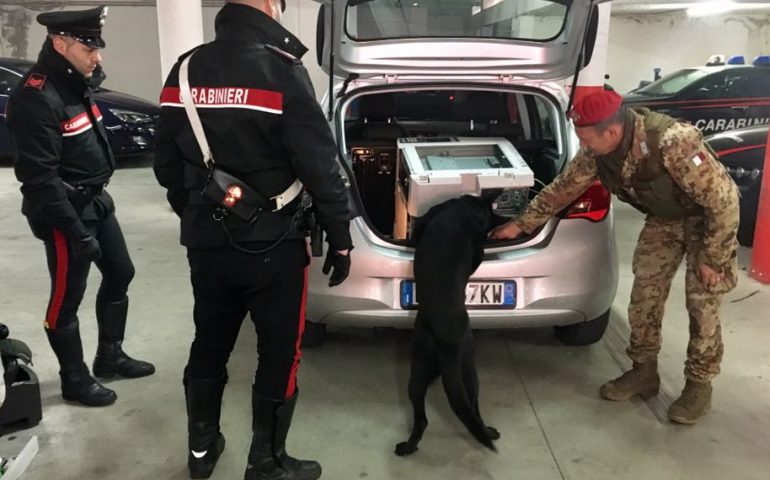 Droga nascosta con panni imbevuti di benzina per confondere l’olfatto dei cani: un arresto al porto di Olbia