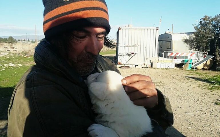 Marino Farris, 51enne disabile, vive in un container a Cagliari: l’appello per aiutare lui e i suoi amati cani