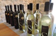 Bèru di Siddùra incoronato miglior Vermentino d’Italia: un trionfo sardo su 200 etichette