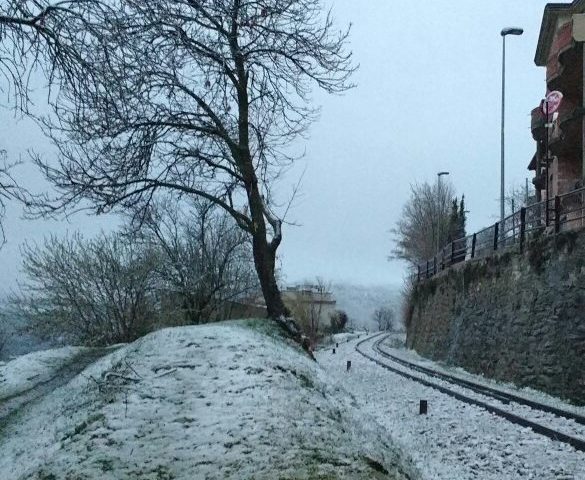 La fotonotizia: primavera con la neve nella Barbagia di Seulo