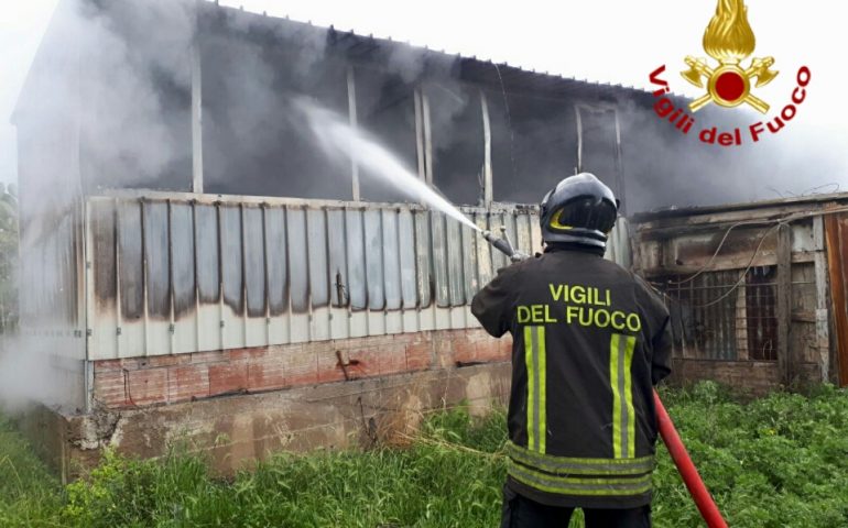 Rogo a Sant’Isidoro. Paura per una bombola di GPL conservata all’interno del capanno in fiamme