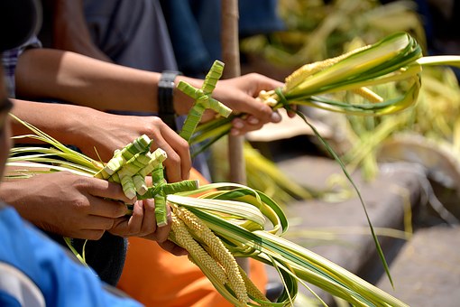 Tradizioni. Rami d’ulivo, palme o bosso: si celebra oggi la Domenica delle Palme