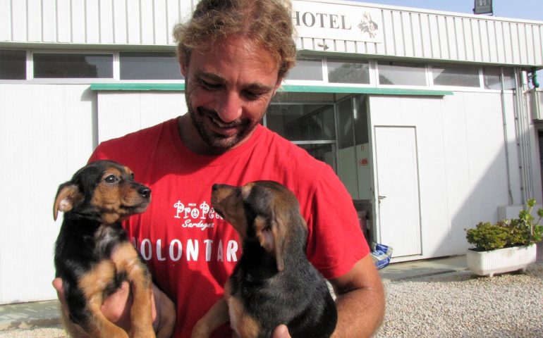 Adottare un cane al canile: visite e cibo gratuiti e lezioni di educazione cinofila. Assemini e il Dog Hotel insieme per aiutare i randagi