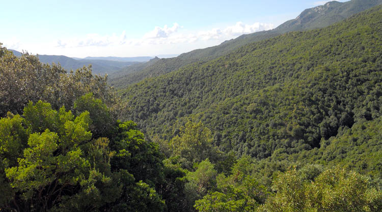 Ritrovati sani e salvi i due coniugi di Santadi che si erano persi nel parco di Gutturu Mannu