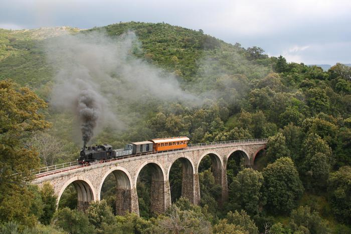 Trenino verde