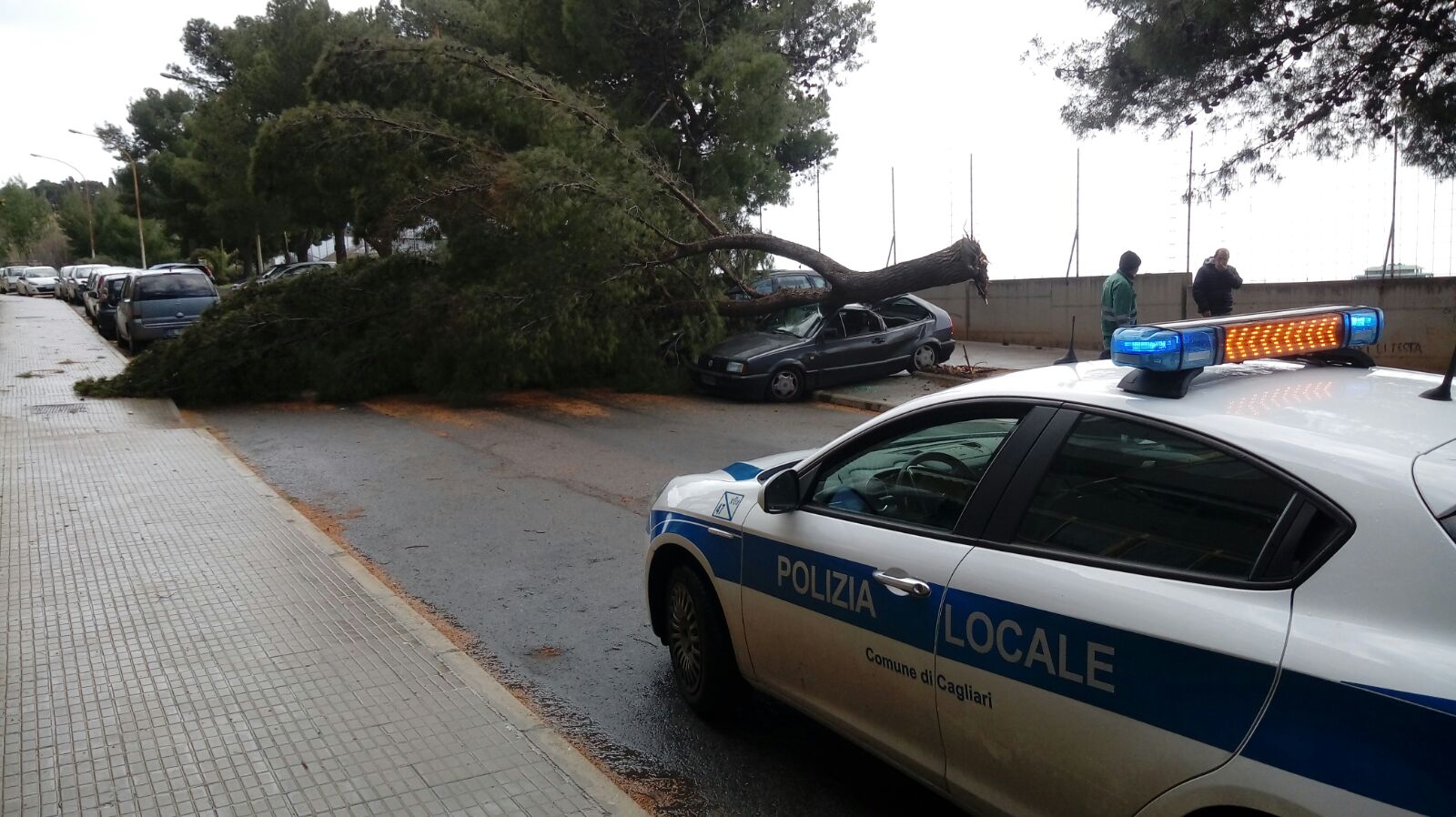 via codroipo albero cade su auto in sosta (2)