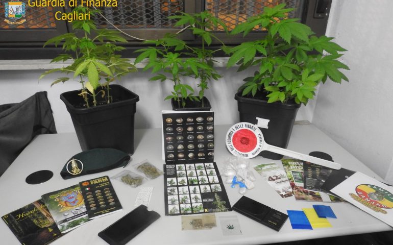 Droga e piante sequestrate guardia di finanza di cagliari