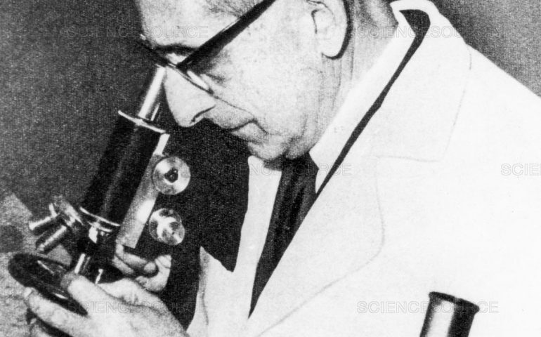Giuseppe Brotzu