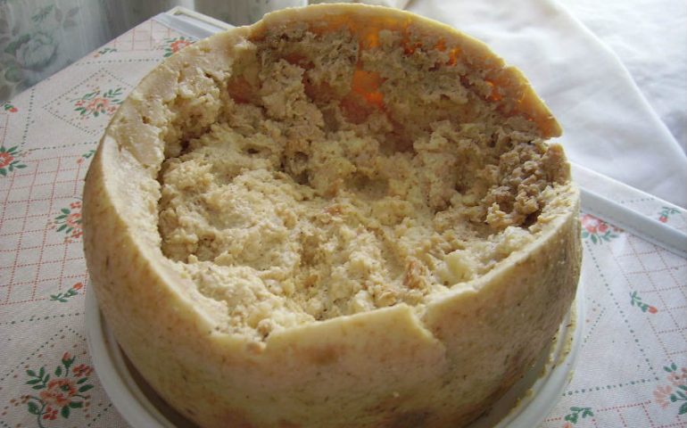 I piatti e le specialità sarde tipiche proposte dal Gambero Rosso: su casu marzu (il formaggio marcio)