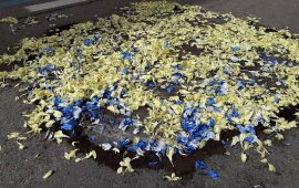 infiorata-danneggiata