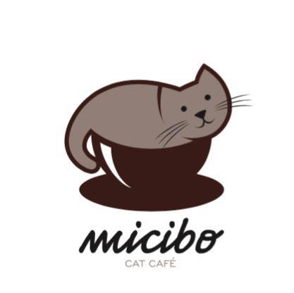 Cagliari: è in arrivo un altro cat cafè. Si chiama “Micibo” e aprirà a fine mese