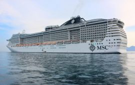 msc divina