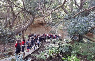 Orto Botanico di Cagliari